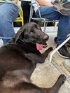 Simon *Courtesy Post* - Photo 4
