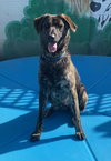 Jake from State Farm - Photo 1