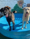 Jake from State Farm - Photo 3