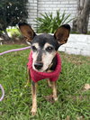 Burt - Photo 2