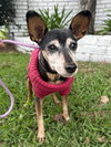 Burt - Photo 6