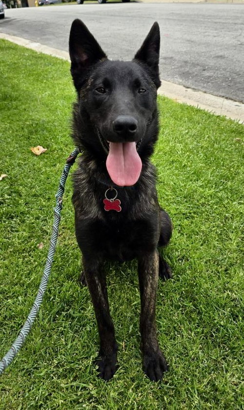 Ripley photo 4