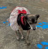 Blanche - Photo 4