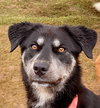 Jolene - Photo 3