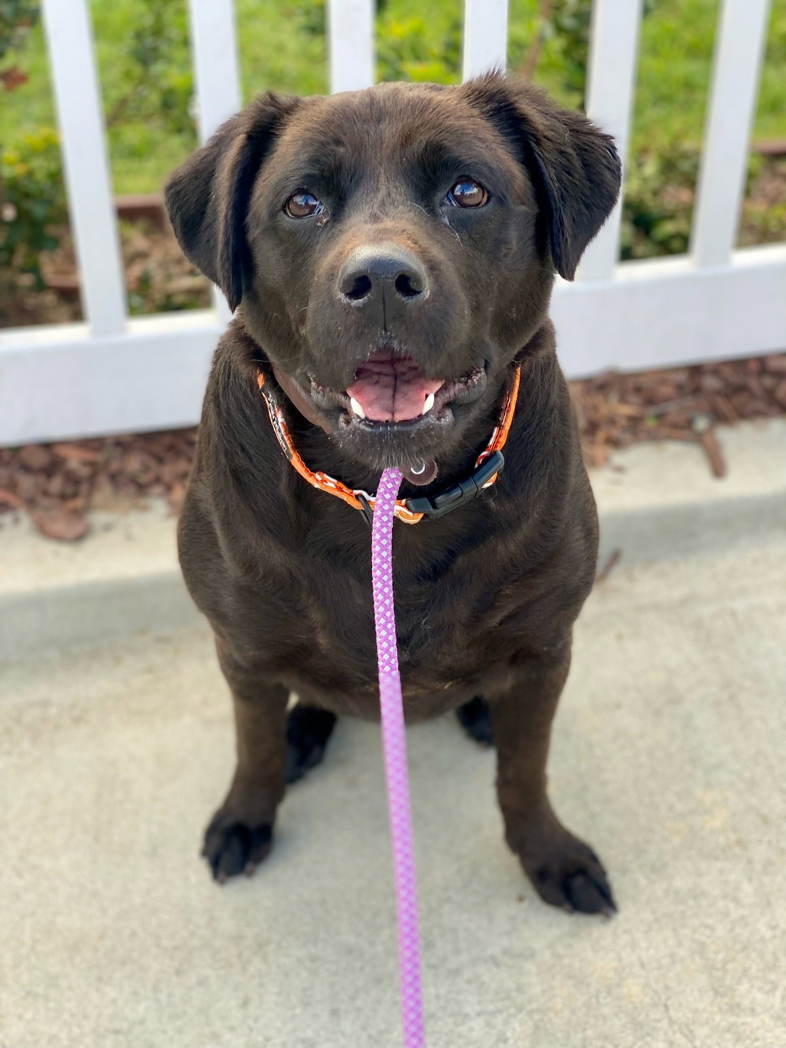 Suki