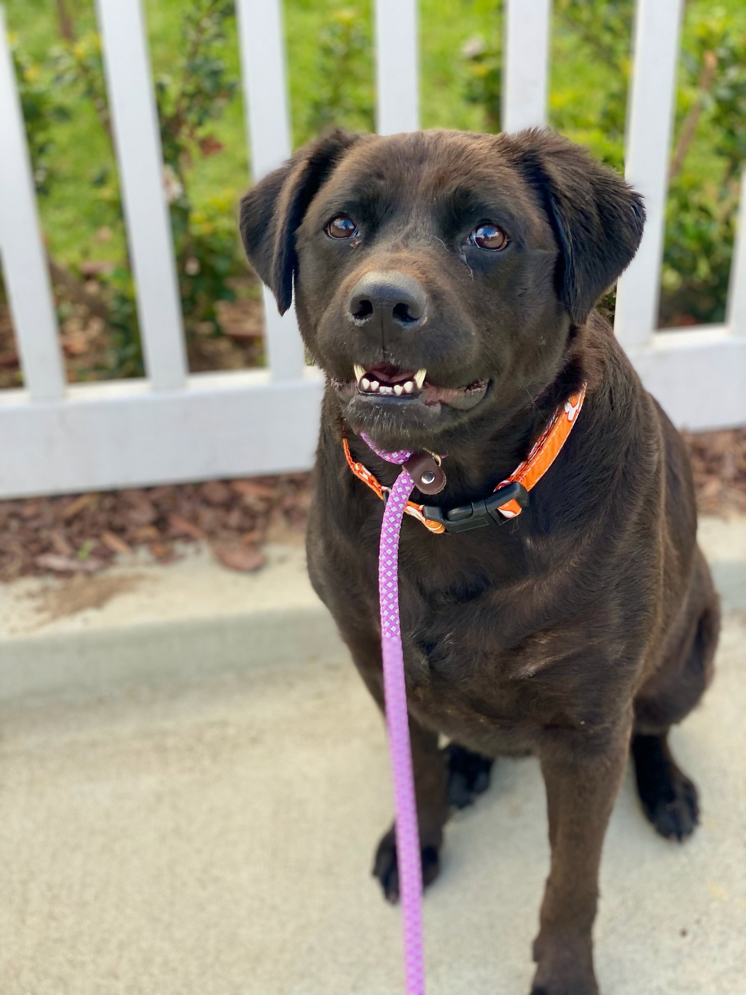 Suki