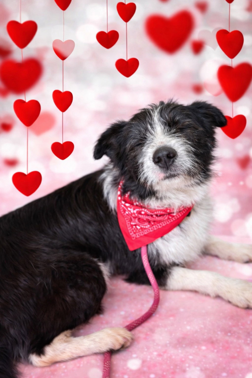 Oliver (blind)