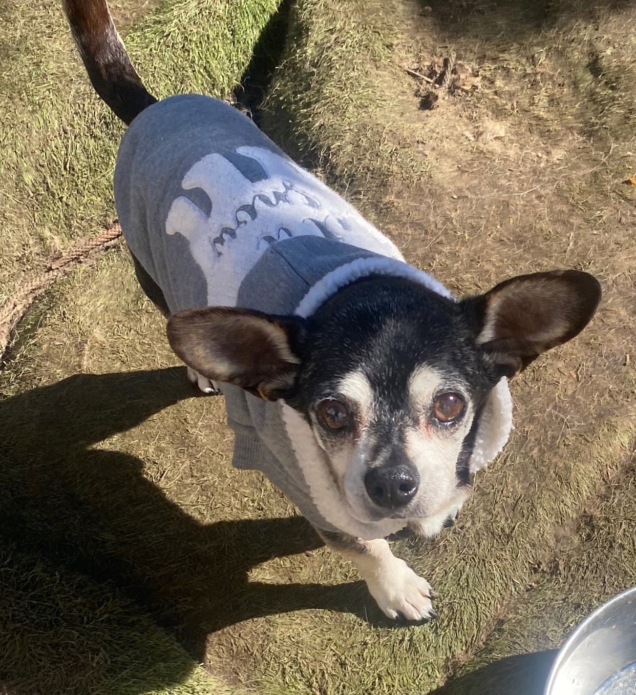 Max