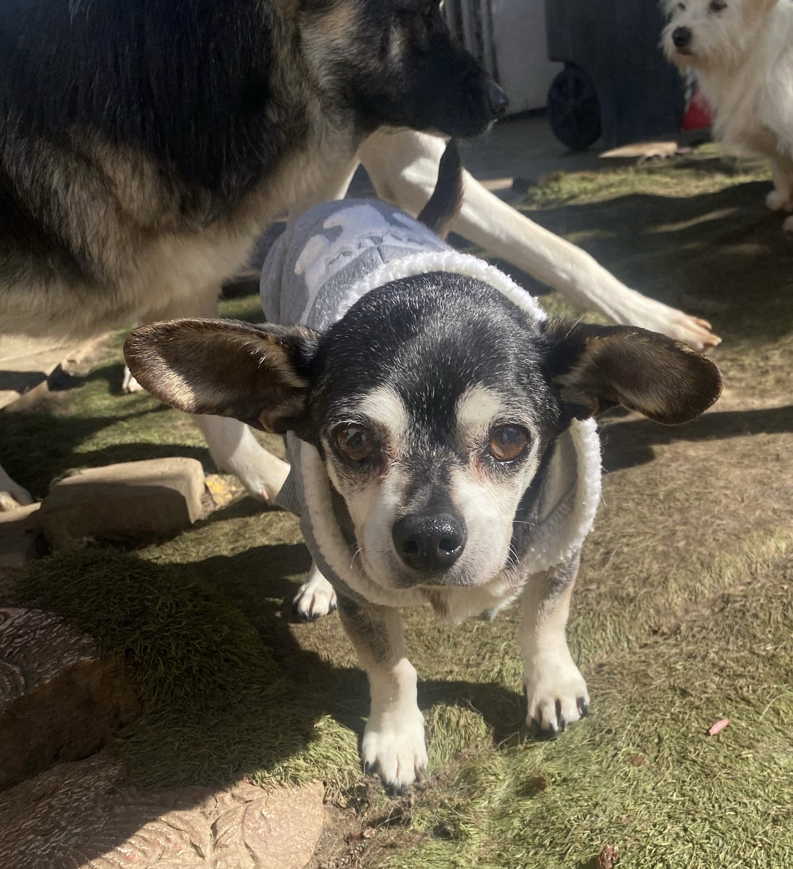 Max