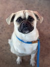 Jack - Photo 2