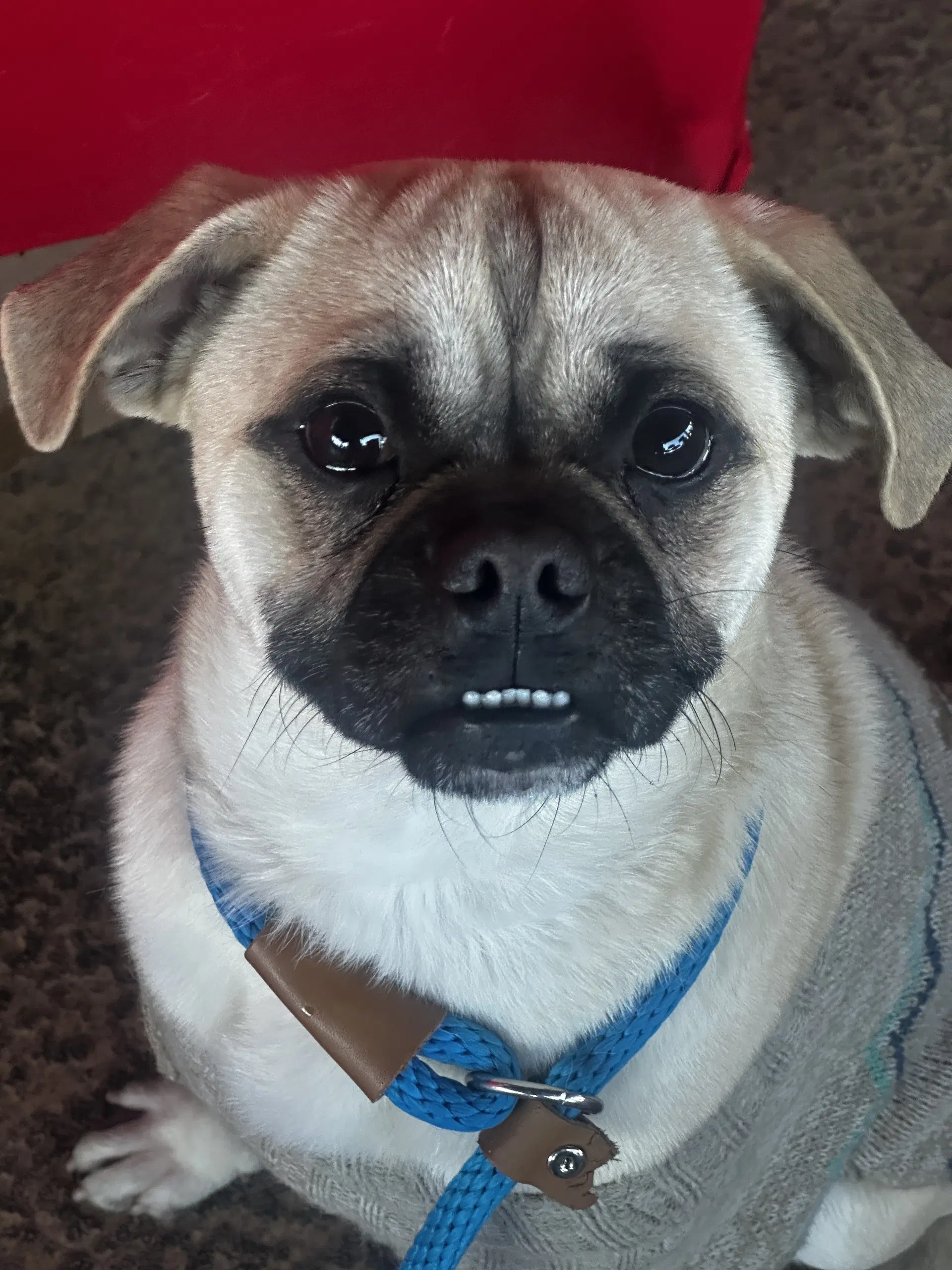Jack image 3