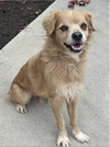 Buddy - Photo 3