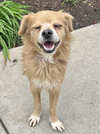 Buddy - Photo 4