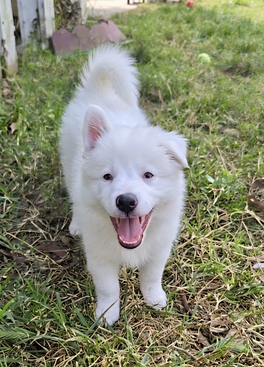 Lucy