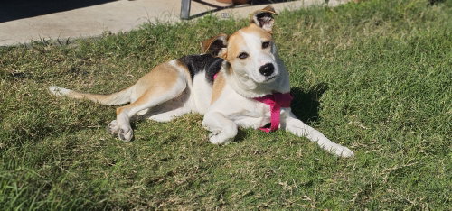 Dolores photo 7