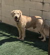 Ralphie - Photo 5