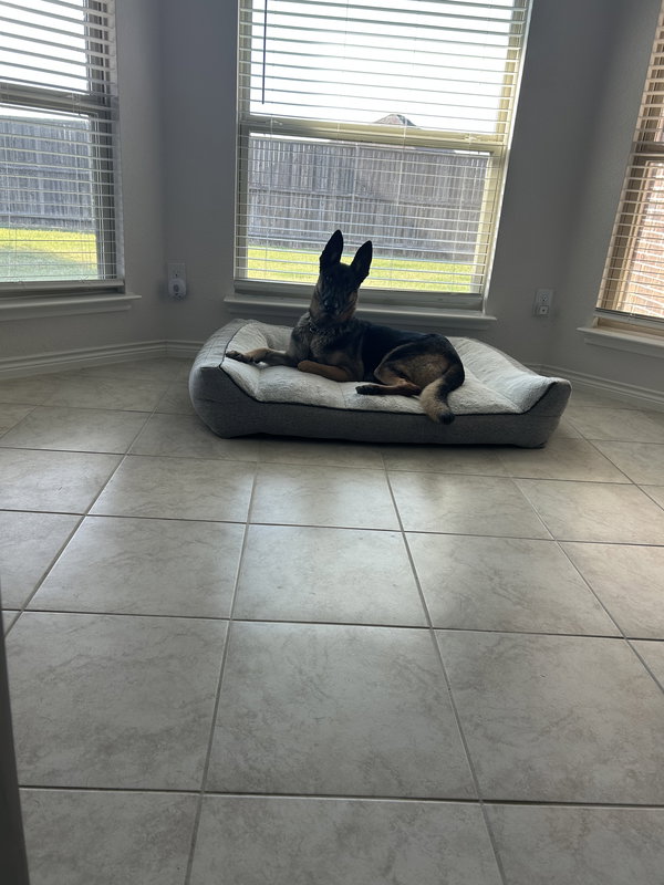 Keilani