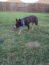 Mo - Photo 12