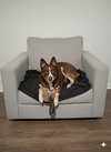 Mo - Photo 2