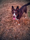 Mo - Photo 3