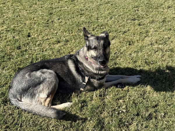Kaia