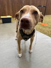 Rocky - Photo 5