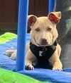 Rocky - Photo 8