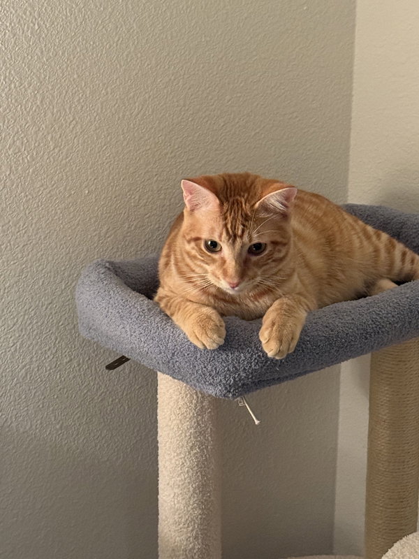 Leo