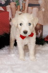Flurry - Photo 8