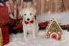 Flurry - Photo 11
