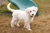 Flurry - Photo 7