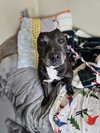 Coco - Photo 5
