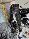 Coco - Photo 6