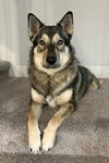 Rookie - Photo 2