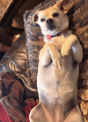 Precious - Photo 8