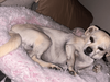 Precious - Photo 10