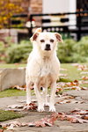 Precious - Photo 3