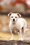Precious - Photo 2
