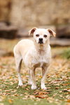 Precious - Photo 5
