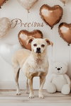 Precious - Photo 1