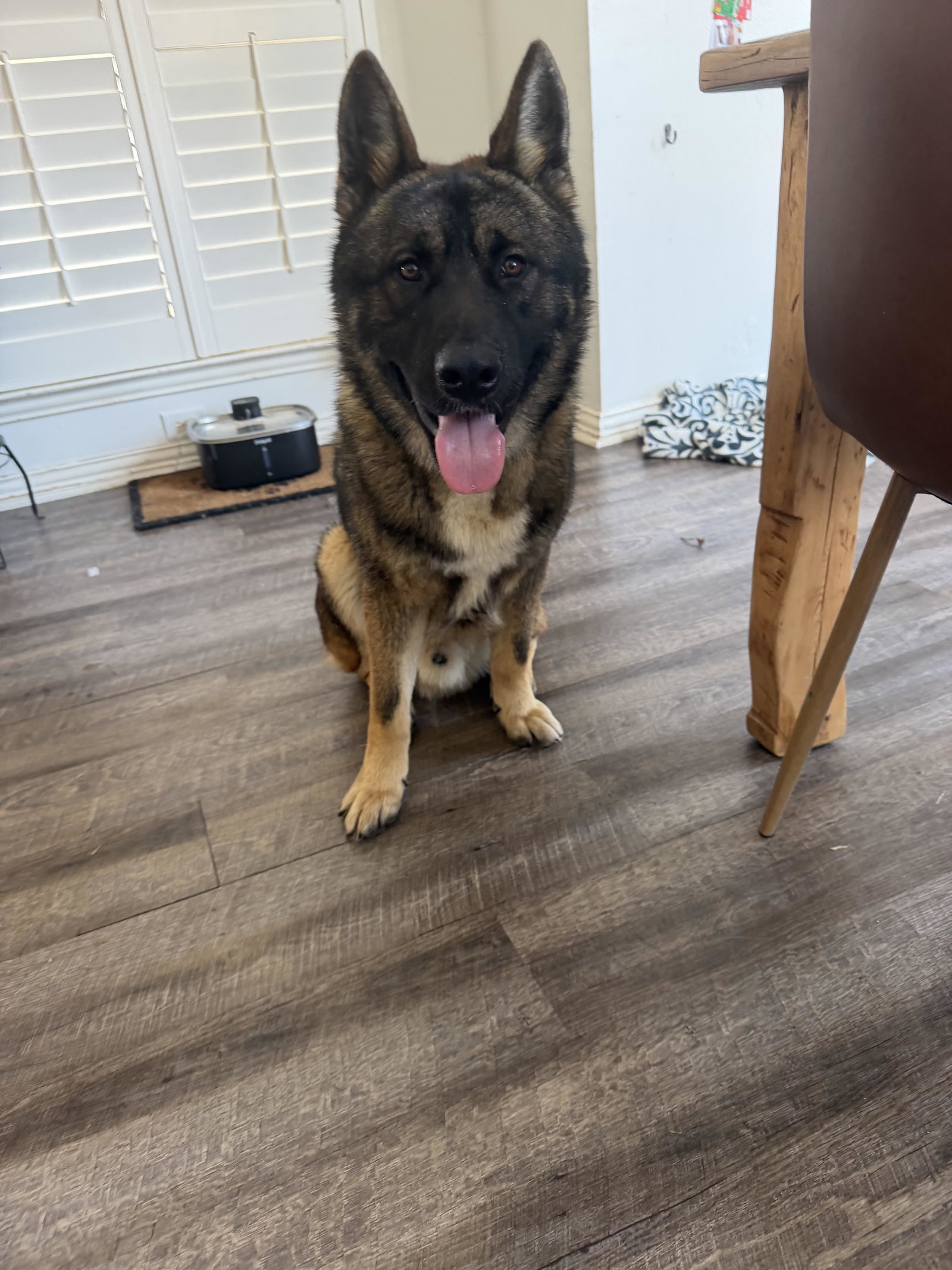 Mowgli