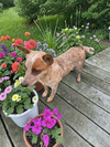 Jackie - Photo 7