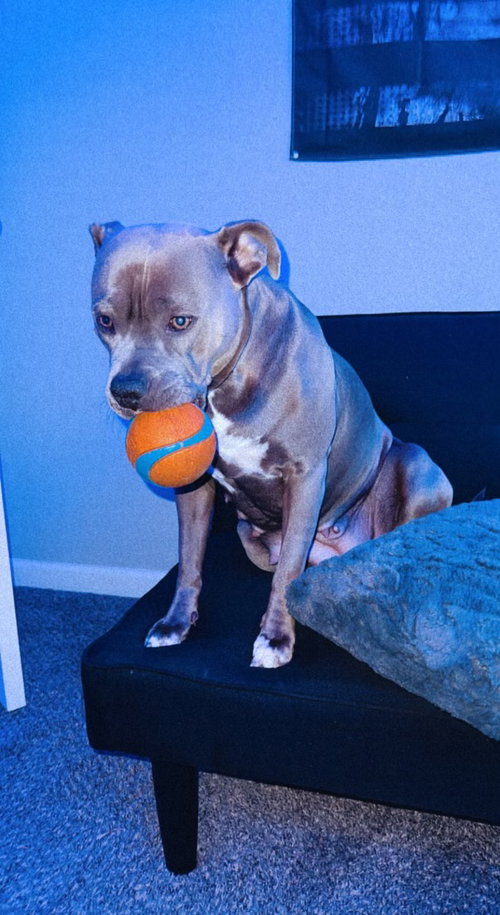 Marley photo 3