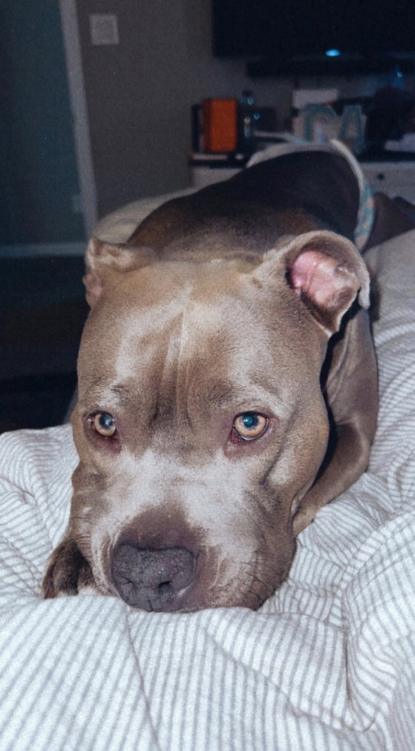 Marley