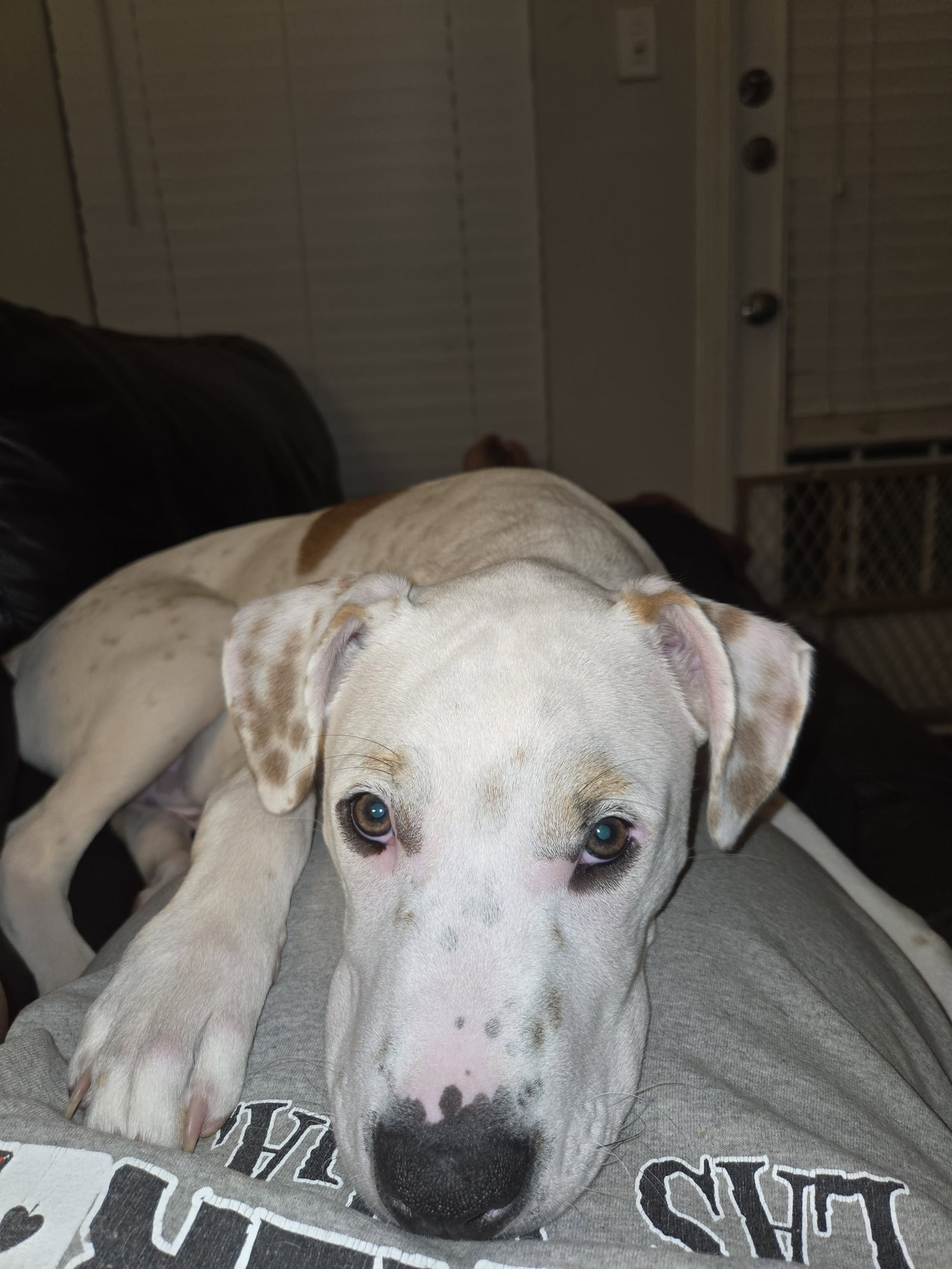 Benny