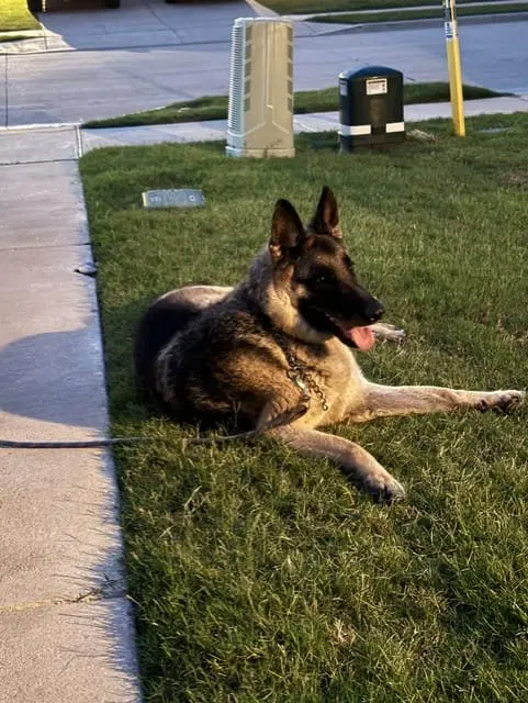 Max image 3