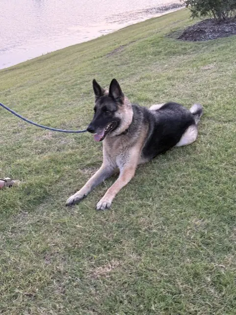 Max image 2