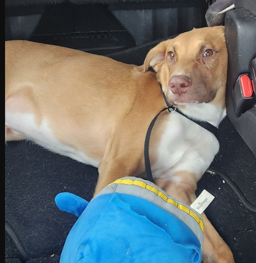 Photo 3 of Frank