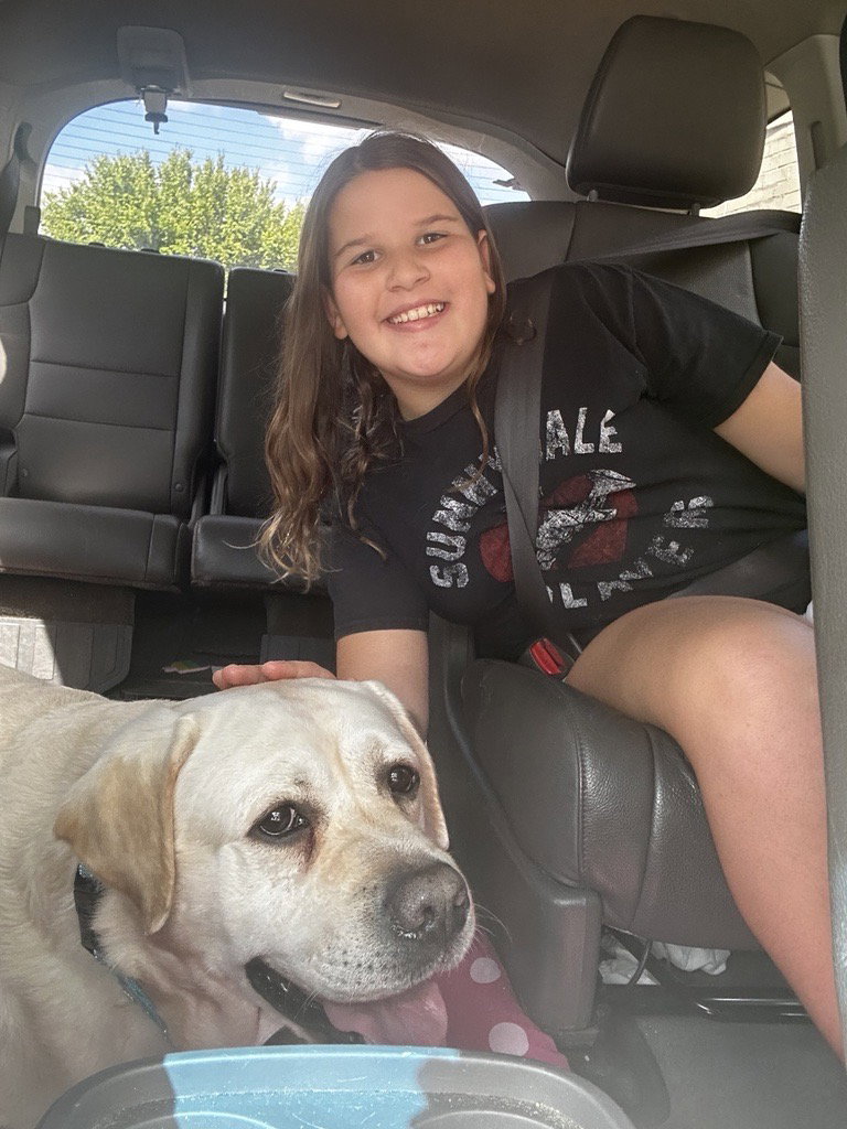 Dog for Adoption Striker, a Labrador Retriever in Wenonah, NJ Alpha Paw