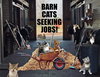 We Have Male and Female Barn Cats! - Photo 3